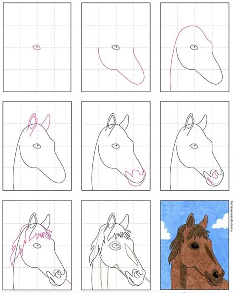 How To Draw A Realistic Horse Step By Step Vazquez Mourrought