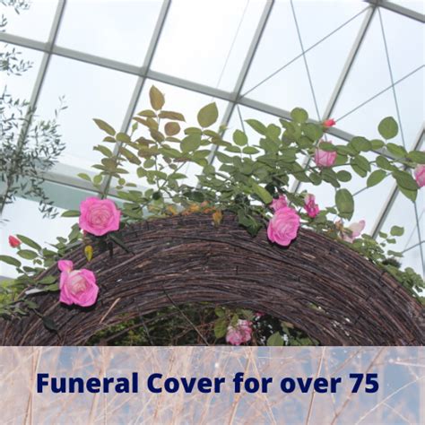 Give your loved ones a dignified funeral without having to worry about expenses. Funeral Cover for over 75 Grandparents - Life Insurance For Seniors Over 80 Without Medical Exam