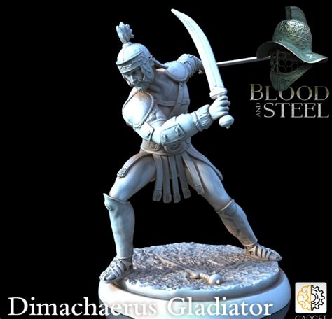 Dimachaerus Dual Wielder Sword Fighter