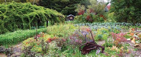 Best perennial flowers for vegetable garden. Perennial Vegetables: Grow More Food With Less Work ...