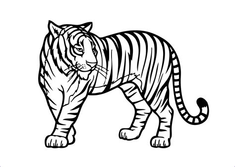 Check out our unique pages inside! 8 Inspirational Mammal Coloring Pages Image | Zoo animal ...