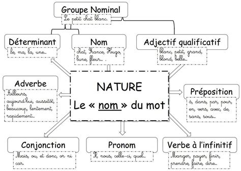 La Nature Des Mots Le Groupe Nominal Exercices En Ligne French