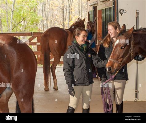 Equestrian Team Hi Res Stock Photography And Images Alamy