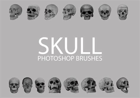 Free Skull Photoshop Brushes 1 Free Photoshop Brushes At Brusheezy