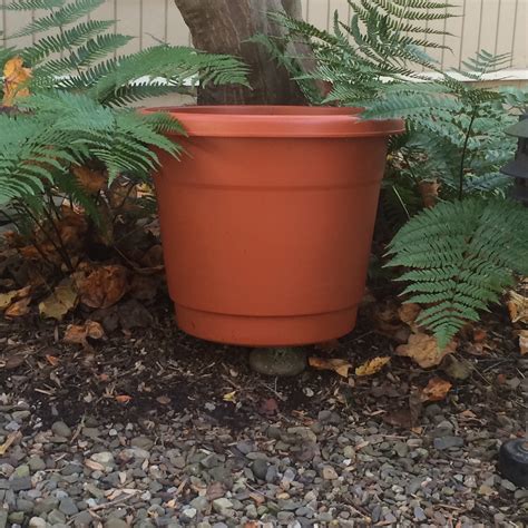 Winterize Outside Pots — Garden Spots