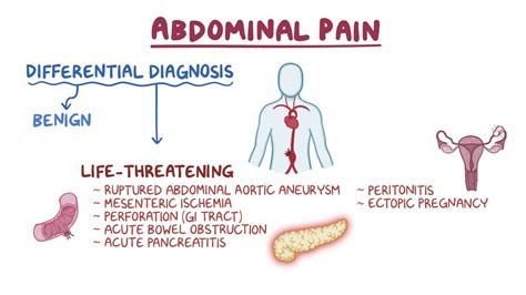 Abdominal Pain Clinical Video Anatomy Definition Osmosis