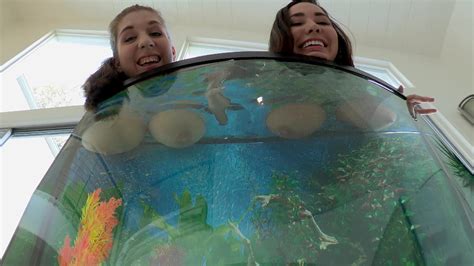 Busty Girls Alex Chance And Karlee Grey Wets Their Boobs In The Aquarium Porn Movies Movs