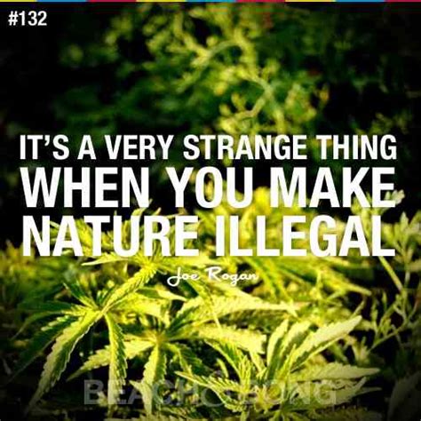 Sexy Weed Quotes I Quotesgram