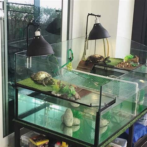 Turtle Tank Ideas And Set Up Turtle Tank Turtle Terrarium Turtle Aquarium