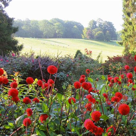Pashley Manor Gardens Gardens To Visit 2021