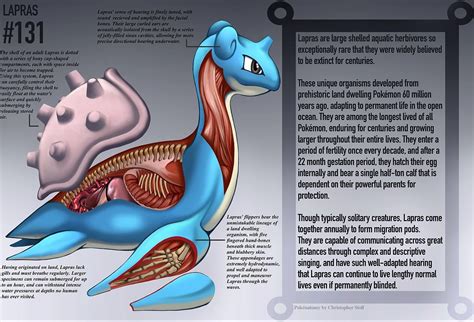 Livro Anatomia Pokémon 5