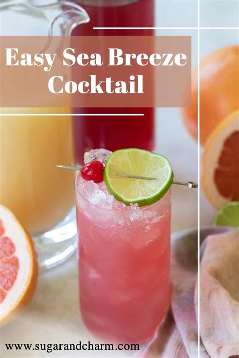 Easy Sea Breeze Cocktail Recipe Recipe Cranberry Juice Cocktail