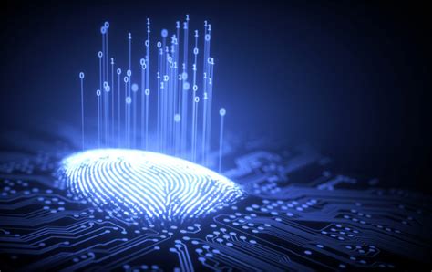 What Is Biometric Technology And What Is A Biometric Passport Bt