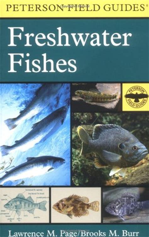 Freshwater Fishes North America Iberlibro