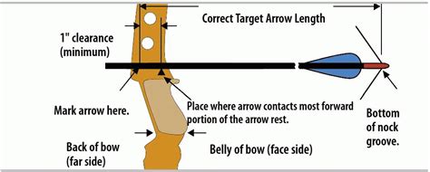 Bow Weight Getting It Right Bahamas Archery