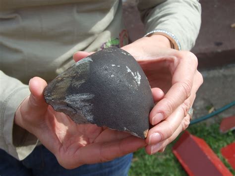 The Latest Worldwide Meteormeteorite News Updated Poland Meteorite
