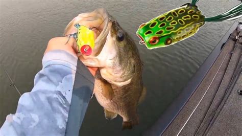 Ca Delta Bass Fishingpopping Frogs Tips Youtube