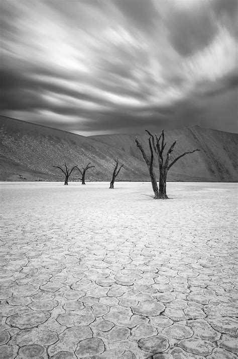 Dead Vlei World Photography Image Galleries By Aike M Voelker