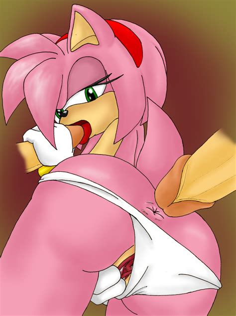 595844 Amy Rose Sonic Team Amy Rose Furries Pictures