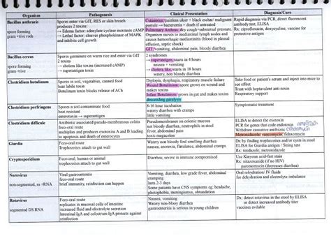 The Complete Guide On How To Study Microbiology In Med School