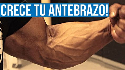 Los Mejores Ejercicios Para Antebrazo Consigue Brazos Fuertes Youtube