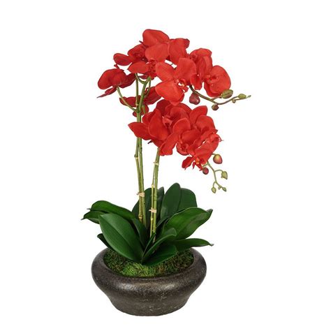 Artificial Double Stem Orchid In Stone Bowl Orchids Orchid Centerpieces Flowers