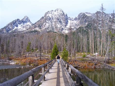 Grand teton national park wyoming bridge Free stock photos in JPEG