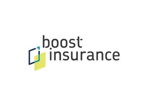 Comments ranged from terrible to disappointing. Boost Insurance | Safire Partners