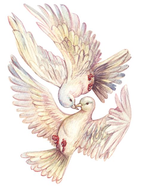 Doves Of Peace Голуби мира Png Голуби Doves в 2023 г
