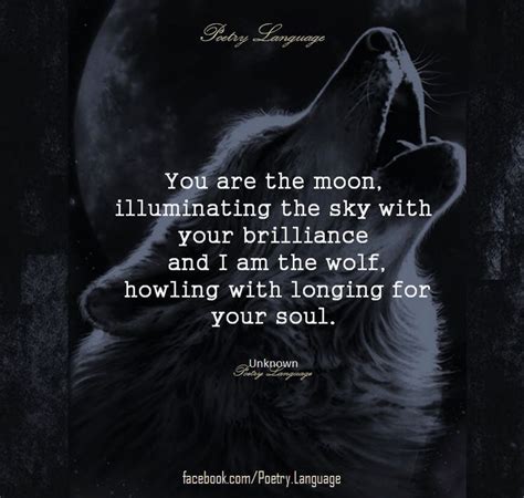 Pin By Cordelia Cattrysse On Wolf Pack Quotes Wolf Quotes Moon