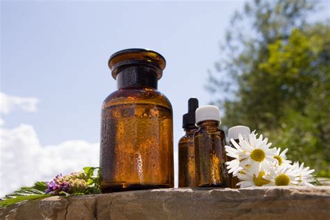 Natural Fragrance Vs Synthetic Fragrance Preeminence