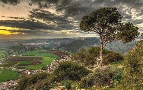 Beauty Of Palestine Country Roads Outdoor Holy Land