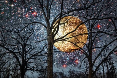 Winter Trees Under A Full Moon Photograph By Debra And Dave Vanderlaan