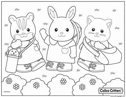 Coloring Critters Park Calico Pages Printable