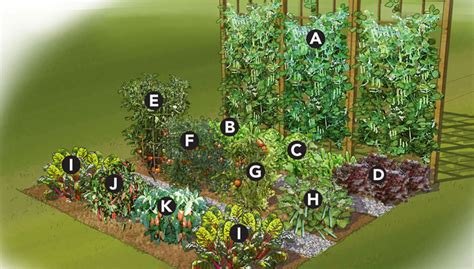 The diy building plans cover the following topics: 19 Vegetable Garden Plans & Layout Ideas That Will Inspire You
