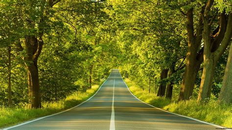 Spring Empty Road Wallpapers Wallpaper Cave