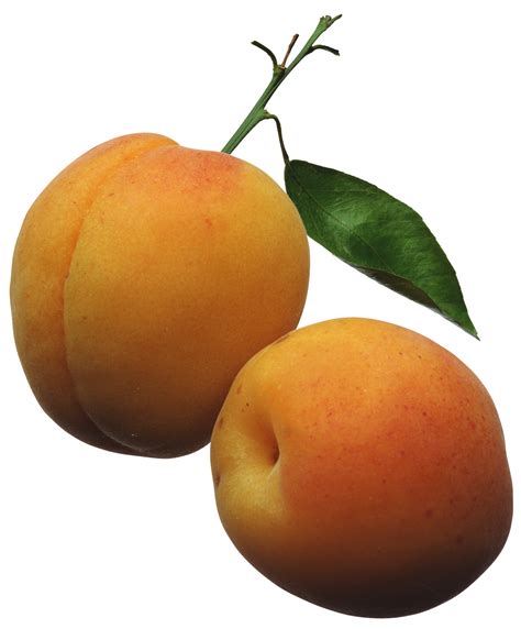 Apricots Png Clipart Picture Fruit Fruits And Vegetables Images Apricot