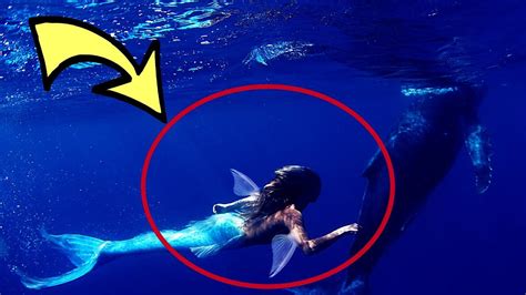 evil mermaids in real life caught on camera