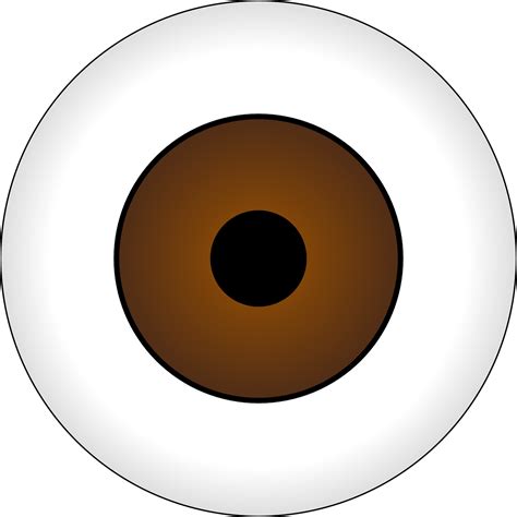 Download Eye Brown Pupil Royalty Free Vector Graphic Pixabay