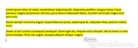 How To Copy And Paste Multiple Highlight Text At Once In Word