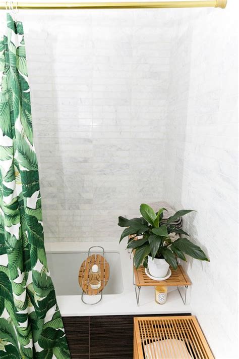 The 10 Best Bathroom Plants To Thrive In High Humidity Areas
