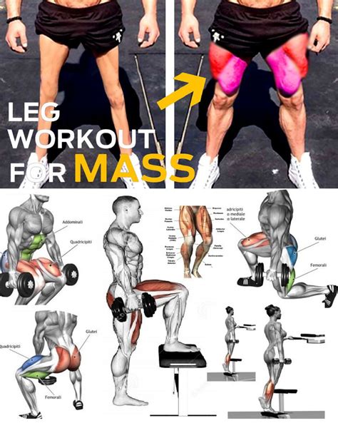 Legs Workout For Mass Leg Workouts For Mass Squat Workout Leg Workout