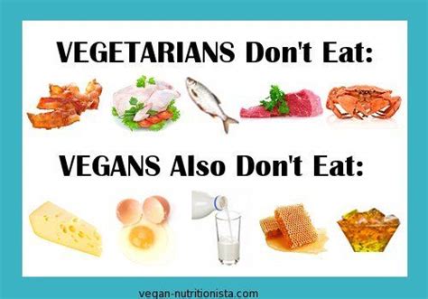 Why Vegan Vs Vegetarian Vegetarian Vs Vegan Vegetarian Benefits