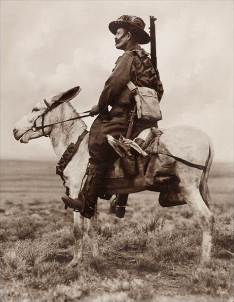 Australian Light Horseman In Palestine Viewing The Land Pictures Of