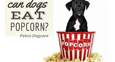 Can Dogs Eat Caramel Popcorn Petco Dog Care