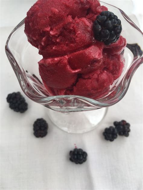 Simple Fresh Blackberry Sorbet — Insolence Wine Berries Recipes