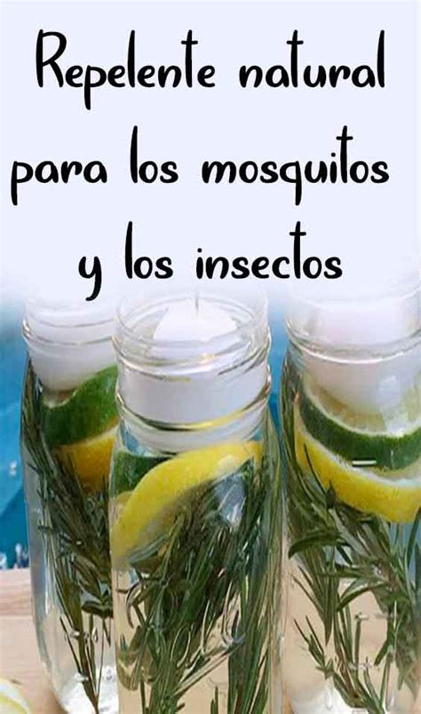 Repelente Natural Para Los Mosquitos Y Los Insectos