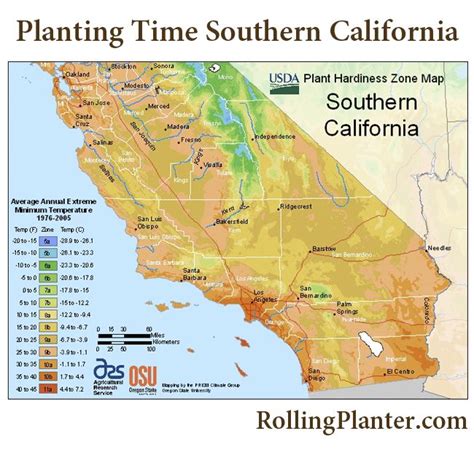 Always Time To Plant Veggies In Southern California If You Reside