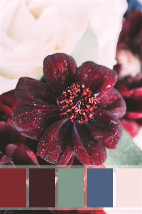 Wedding Color Palette | Maroon color palette, Blue color pallet, Red ...