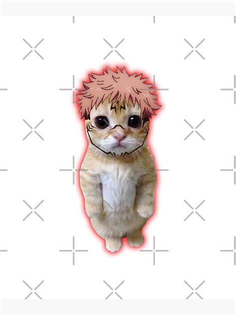 Share More Than 67 Anime Cat Memes Best In Coedo Vn
